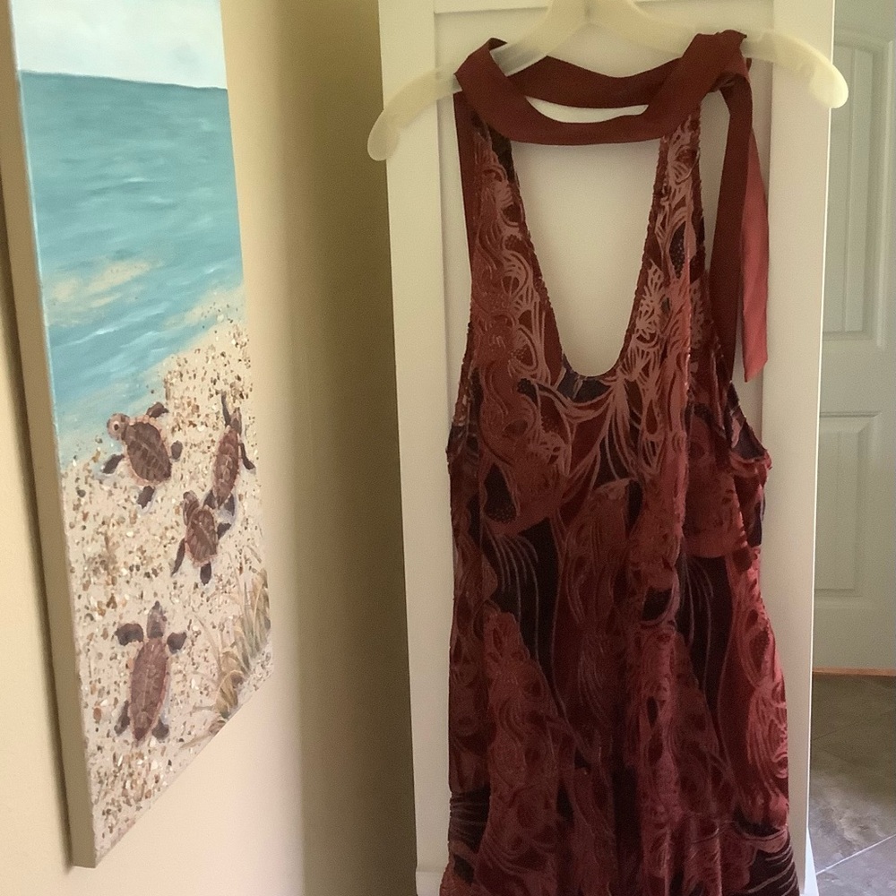 New with tags. Free People velvet / sheer dress